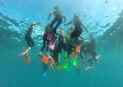 snorkelling for education